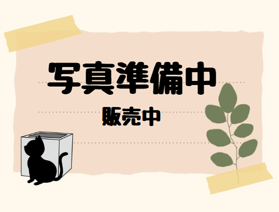 写真準備中